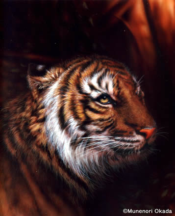 2010年　Tiger