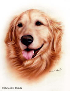 犬01