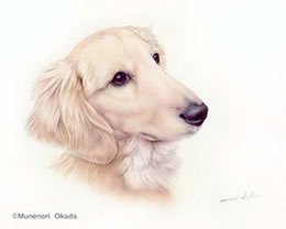 犬02