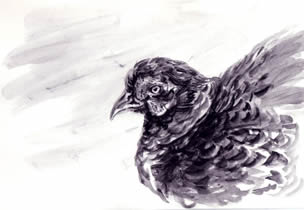sketch001