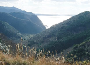 対馬01