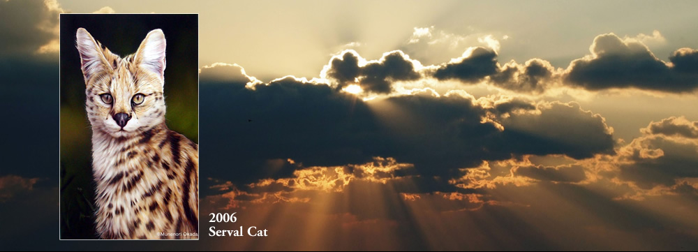 Serval Cat 2006