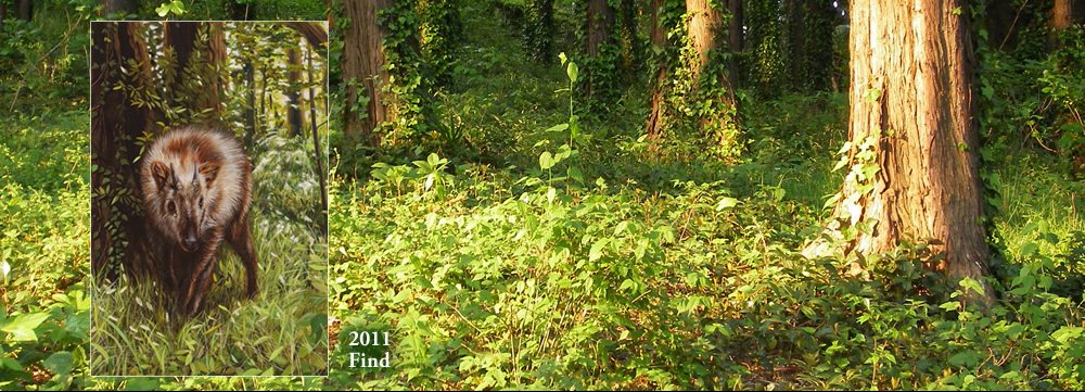 Find 2011