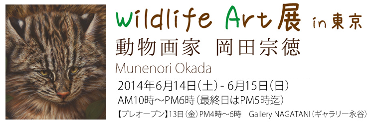 Wildlif Art展 in　東京