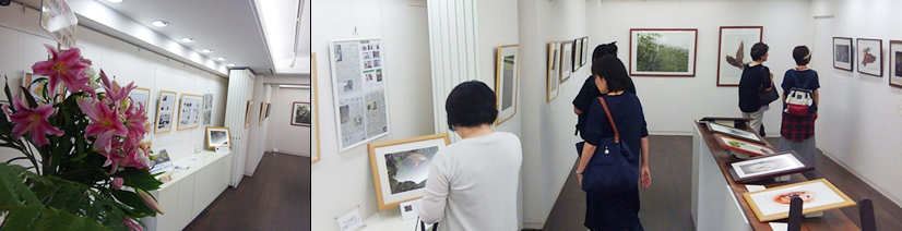 展示会の模様