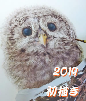 2019年 初描き