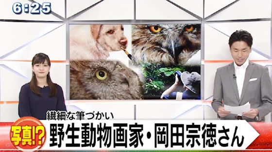 テレビで紹介されました