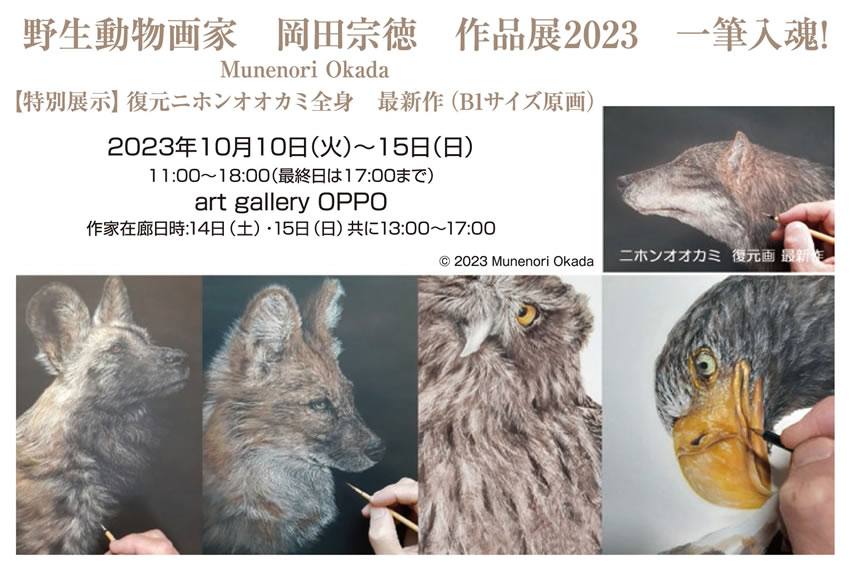 個展