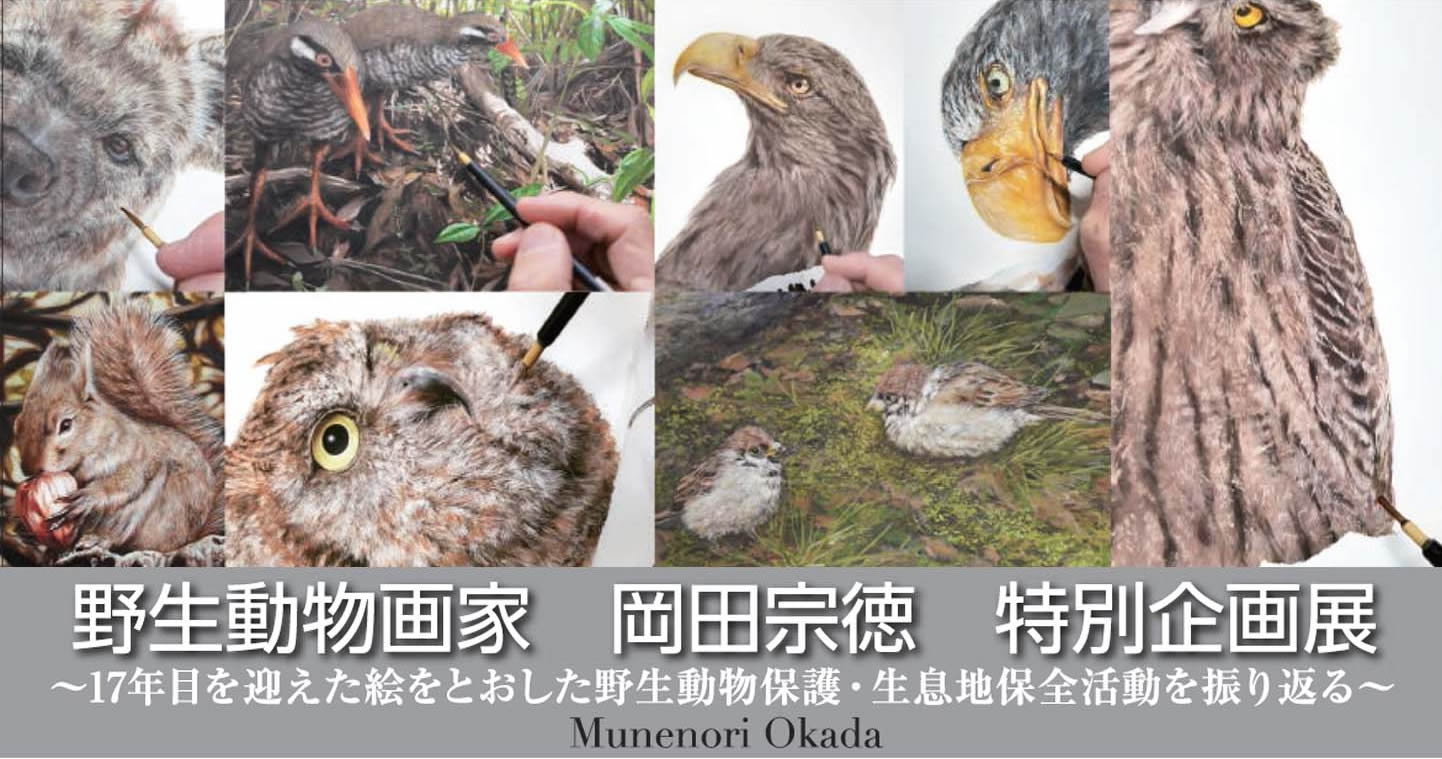 特別企画展