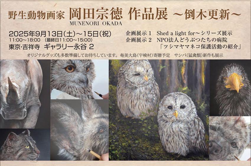 個展