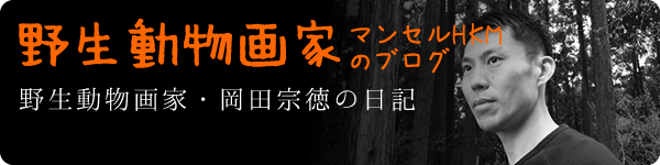 野生動物画家 マンセルHKMのブログ